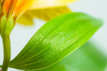 Similar image 10446704