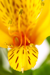 Similar image 10446705