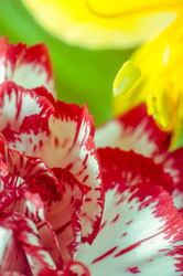 Similar image 10446706