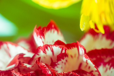 Similar image 10446707