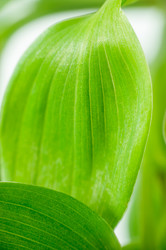 Similar image 10446708