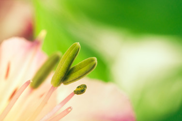 Similar image 10446709