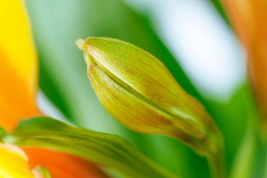 Similar image 10446744