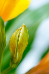 Similar image 10446764