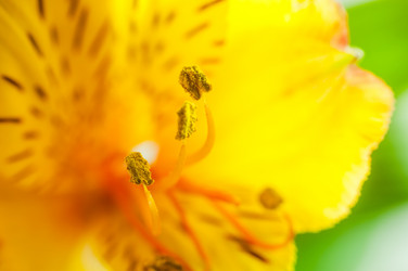 Similar image 10446768