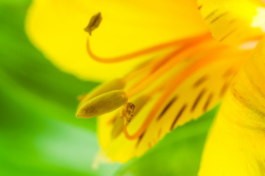 Similar image 10446769