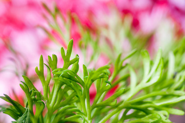 Similar image 10446771