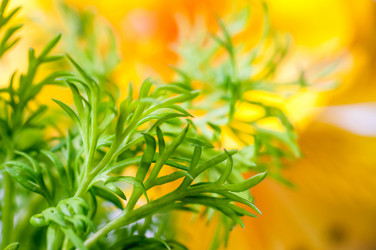 Similar image 10446772