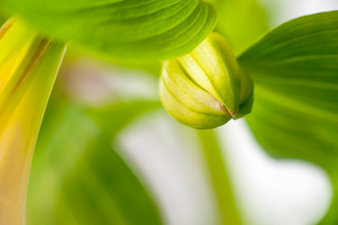 Similar image 10446773