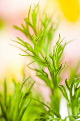 Similar image 10446776