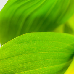 Similar image 10446778