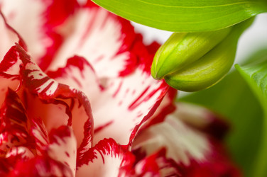 Similar image 10446781