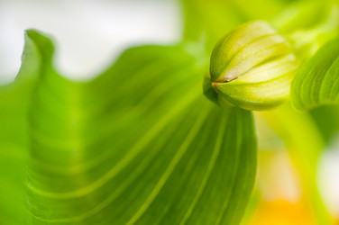 Similar image 10446785