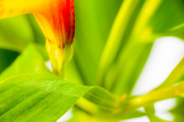 Similar image 10446786