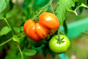 Similar image 10446807