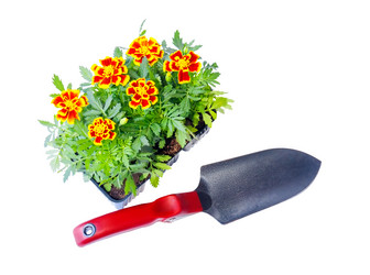 Similar image 10446834