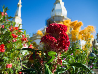 Similar image 10446940