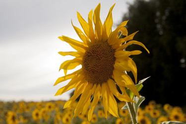 Similar image 10447004