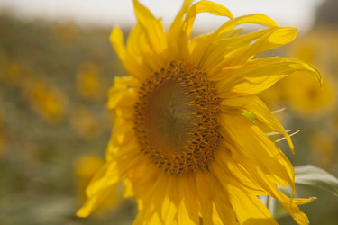 Similar image 10447005