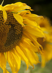 Similar image 10447006