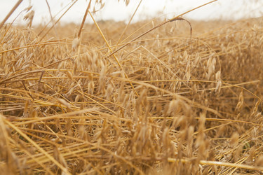 Similar image 10447008