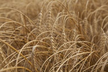 Similar image 10447010