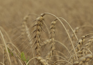 Similar image 10447013