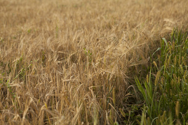 Similar image 10447014