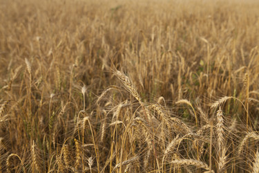 Similar image 10447015