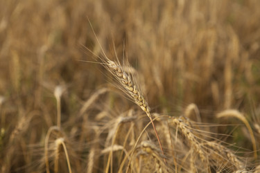 Similar image 10447016