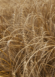 Similar image 10447020