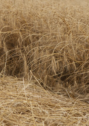 Similar image 10447021