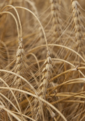 Similar image 10447022