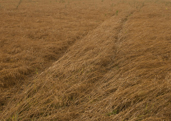 Similar image 10447023