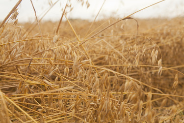 Similar image 10447024