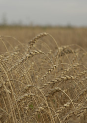 Similar image 10447025