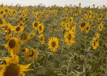 Similar image 10447026