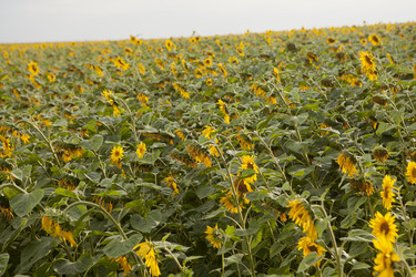 Similar image 10447027