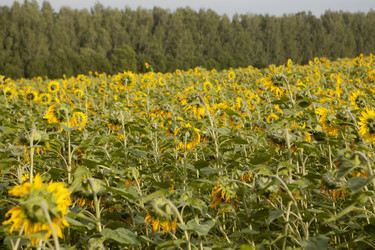 Similar image 10447028