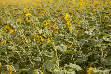 Similar image 10447029