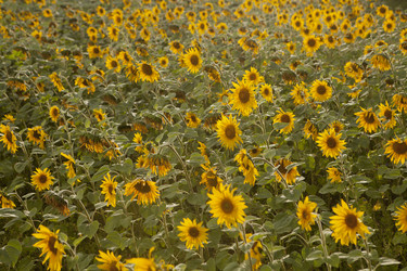 Similar image 10447030