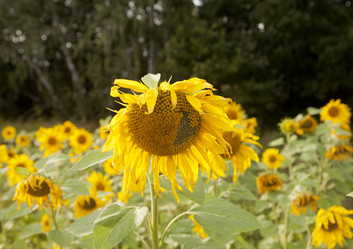 Similar image 10447031