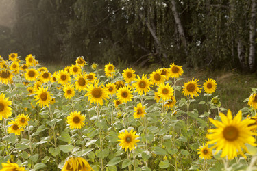 Similar image 10447032