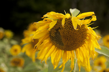 Similar image 10447033