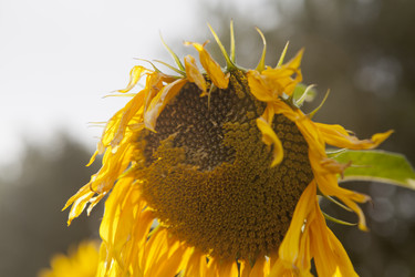 Similar image 10447034