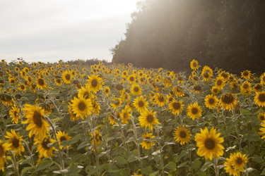 Similar image 10447036