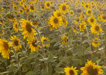 Similar image 10447037