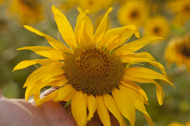 Similar image 10447038