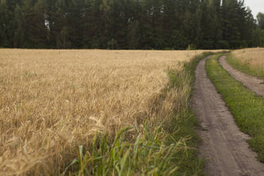 Similar image 10447041