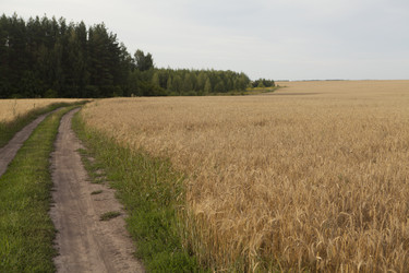 Similar image 10447042